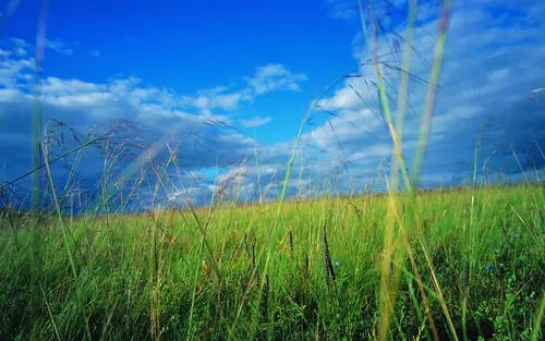南阳市400号码选号,选号技巧如下!