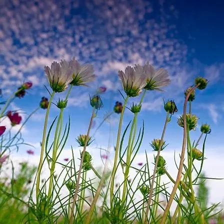 想换个便宜点的话费套餐，咋就这么难，套餐套路深！