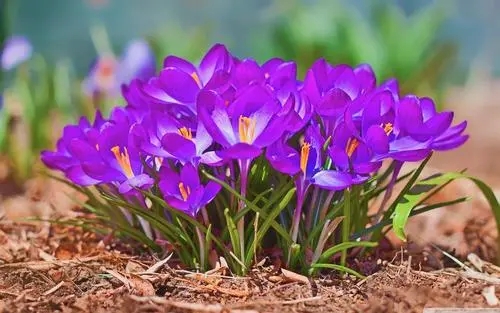 揭秘：手机靓号是这么加价的，原来如此！