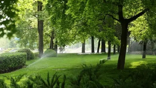 中国移动推出5G视频客服(6月30日 | 通信事儿全知道~)