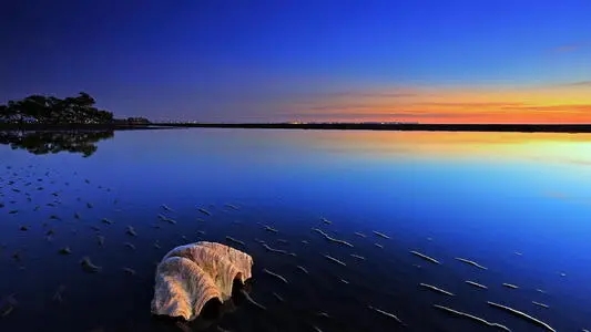 186号段是联通的还是移动的、电信的?