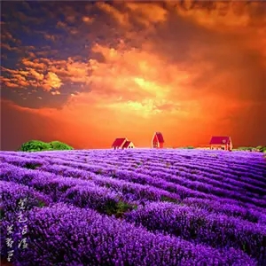 你知道三大运营商号段分配情况吗?