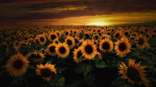 186开头的是移动还是联通(186号码段的由来),你知道吗?