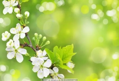 186开头的是移动还是联通(186号码段的由来)