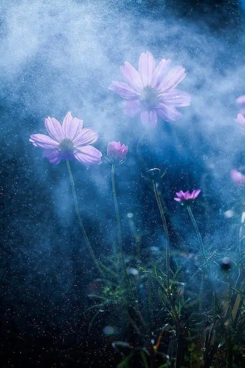 133号段是哪一年出来的