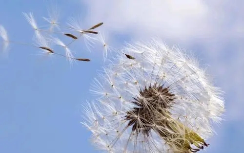 133号段是哪一年出来的?