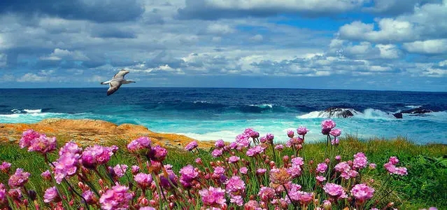 怎么选手机号码,一起来学习!