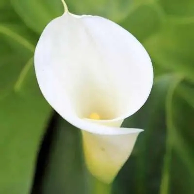 深圳400电话都有哪些优势?