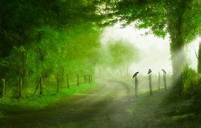 怎么解除“您名下的该号码,存在异常使用行为(异常拨打、诈骗犯罪高危地区…24小时内会被停机”?