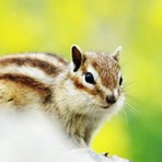 怎样更换手机号码呢?