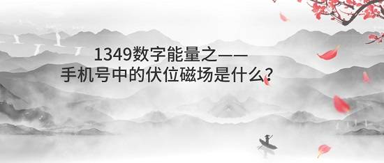 手机号中的伏位磁场是什么？