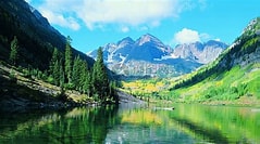 男子伪造证件过户手机靓号遭查！