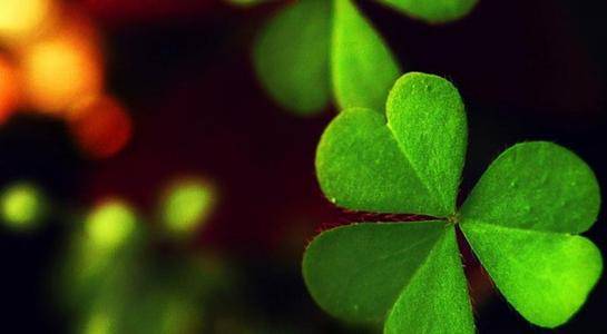 数字反应运势的原理是什么？手机号码如何起到旺运的作用