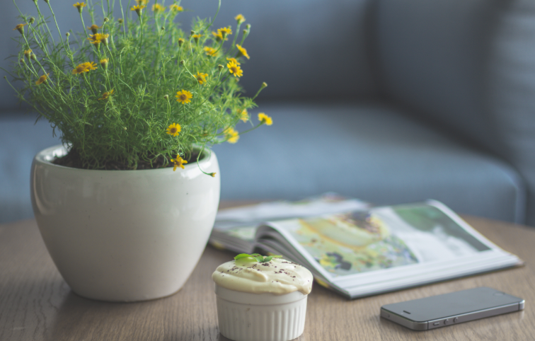 什么是手机号码段？