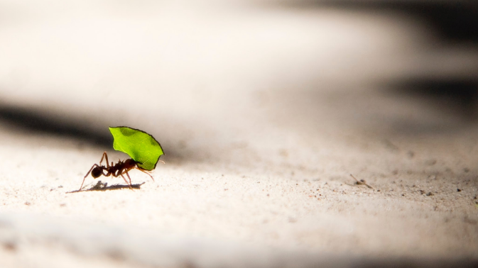 你知道通过手机码能够了解你的哪些方面吗？