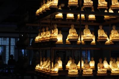 换号码多久就会发生变化呢？