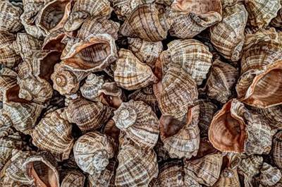 你知道我们手机号码里面的数字到底对工作的影响有多大？