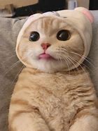 怎样看手机号码中的婚姻观?