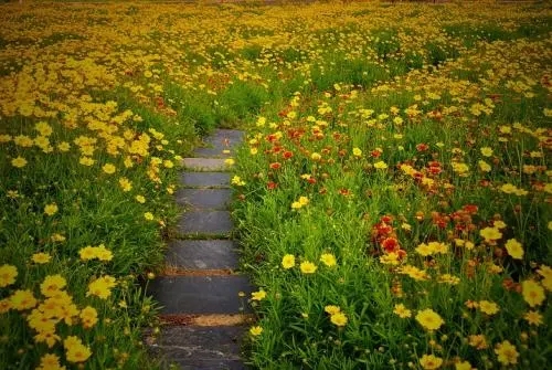 其利会数字能量学：手机号码含有哪些数组需要赶快换掉？看看有你吗？