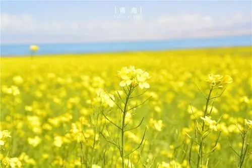 如何判定手机号码的阴阳属性，会有什么影响呢？