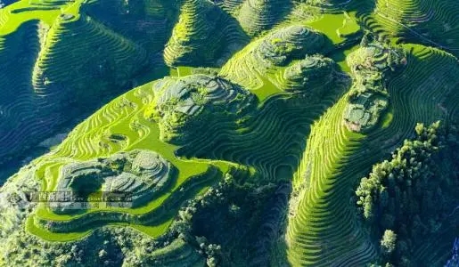 如何辨别“二手”手机号，问题一大堆，这几招贼简单，必会！快来看看吧！