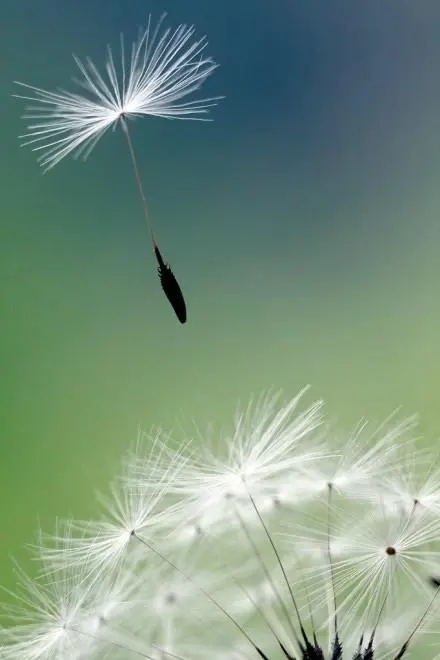 什么是虚拟运营商手机号码，快来看看吧！