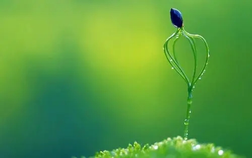 手机号码被回收的前提协议,你注意过吗?究竟是什么?