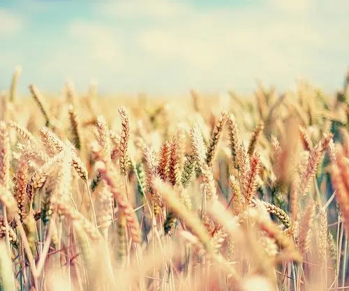 手机号码测吉凶到底准不准？你觉得呢？