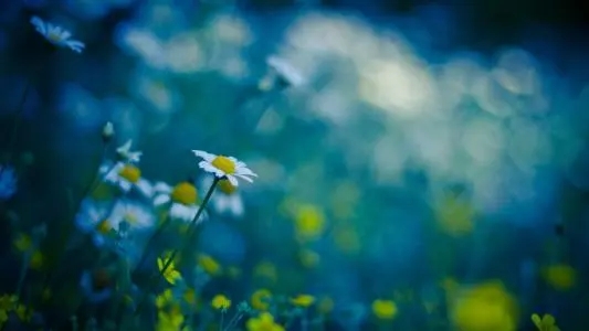 北京健康宝之前有2个手机号码 其中一个不再使用 如何进行换绑？