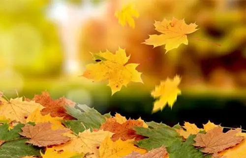 什么是虚拟运营商手机号码，虚商号码怎么销户？