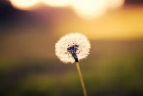 通过手机号定位是真的吗？操作步骤如下！