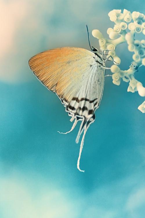 手机号码含有哪些数字磁场会使你压力巨大？一定要避开它！