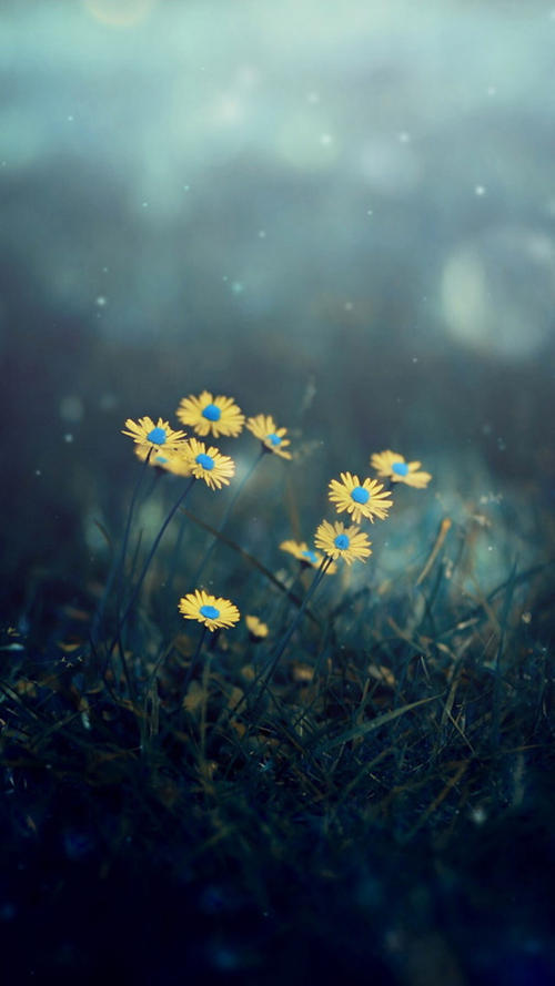 手机号码用久了有什么好处，你的号码用多久了？