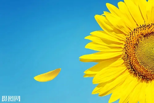 手机尾号什么数字最好？符合以下三点最佳！