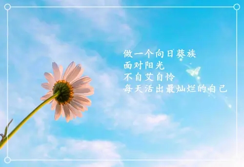 输入手机号可轻松转账,方便又快捷!