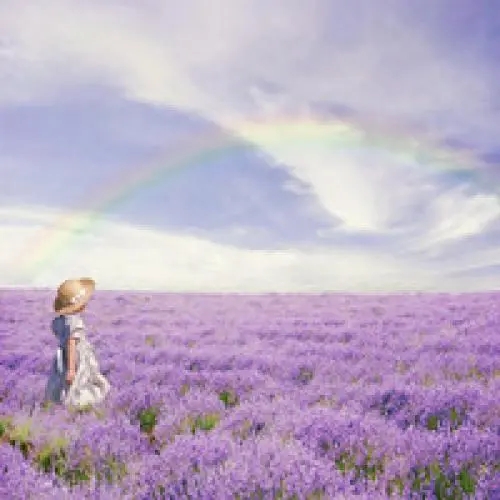 利用手机卡开卡环节恶意注册出售“黑号” 1.6万余名违法犯罪嫌疑人被抓获，切莫以身试法