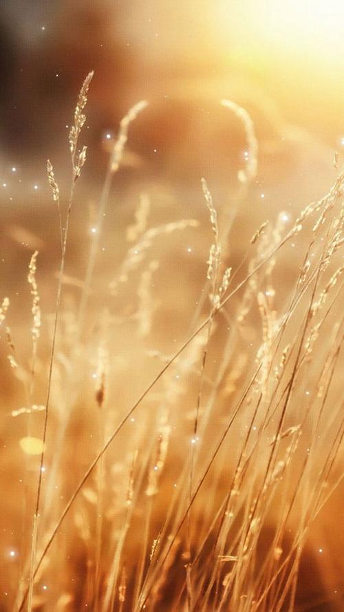 泰康人寿强赠保险，填个手机号就被投保，律师：可能违规了！ 当心！