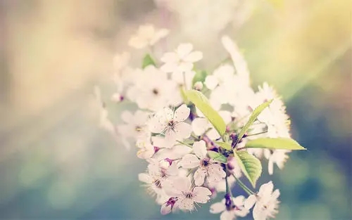 手机号被卖？用户斥天津电信无视个人隐私安全，你怎么看？