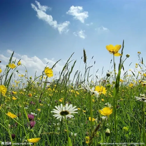 选择手机靓号的意义何在?为什么要拥有靓号?你喜欢靓号吗?