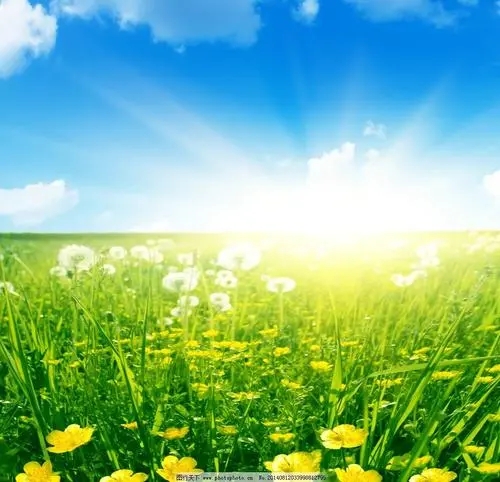 特殊电话号码有哪些？你知道几个？