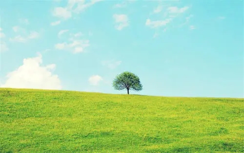 一个手机“靓号”法院拍出5万元，你会买吗？