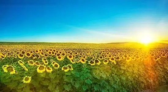 5G手机靓号选号技巧篇，你都学会了吗？一起来看吧！