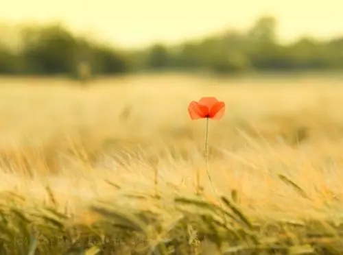 男子新买手机号码刚激活，先要帮前机主交信息费才能用，到底怎么回事？