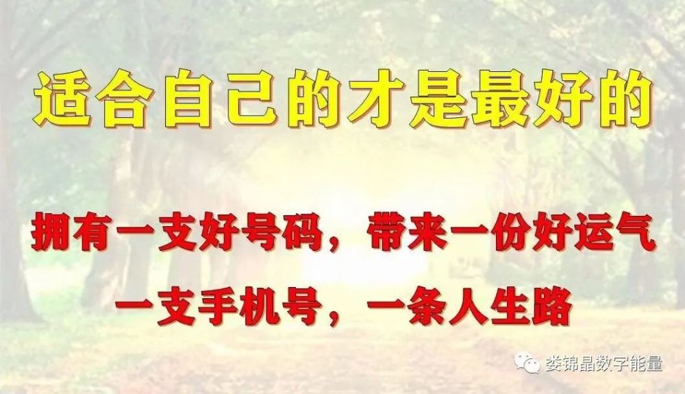 手机号码风水学，彻底改变了他们的生活！一起来看！