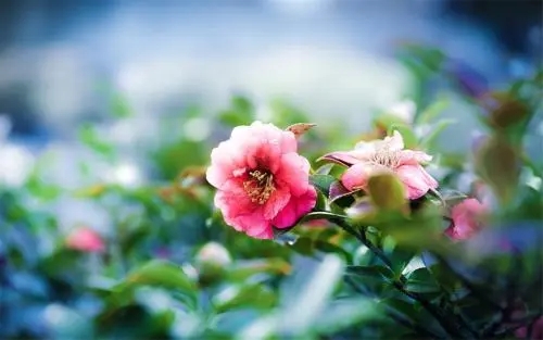 承德一手机靓号标价1.5万元 被称为炸弹号，你拥有靓号吗？