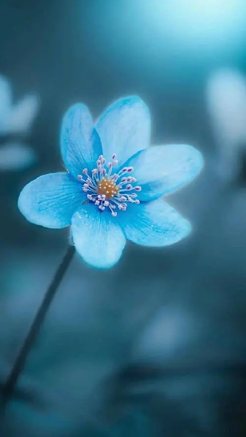 手机号转账 操作方便受青睐,简单又快捷!