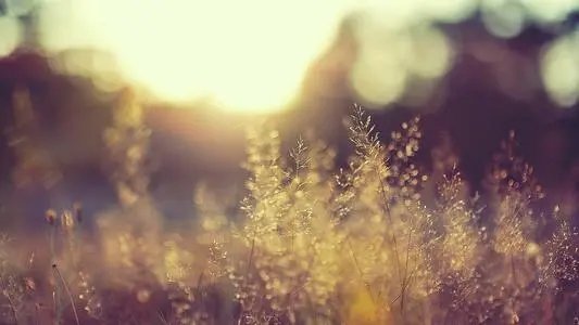 手机号码中含有483可能会有什么样的影响，一起来看！