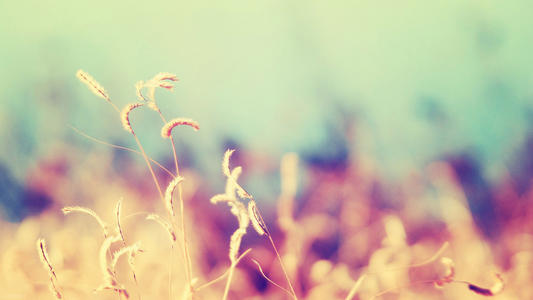 警方提示：警惕手机号验证码被人“截胡”，要做好以下几点！