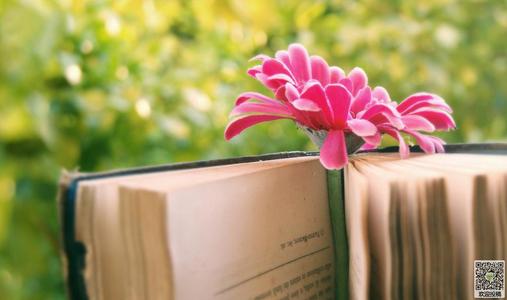 解读数字人民币钱包 最低权限钱包用手机号码就可开通，有哪些功能和用途！