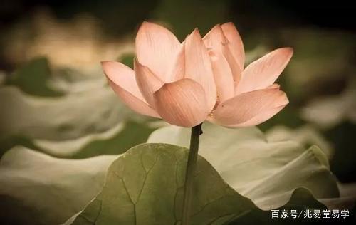 为什么不建议自己改手机号码，胡乱改号只会适得其反，你了解吗？